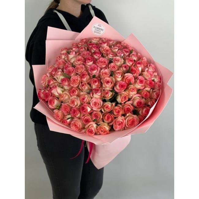 101 Розовая роза