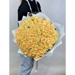 101 Персиковая роза