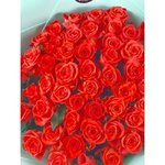 51 Коралловая роза