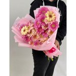 Микс из 25 гербер