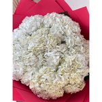 9 Белых гортензий