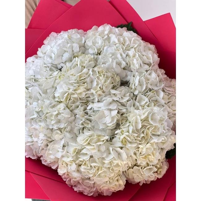 9 Белых гортензий