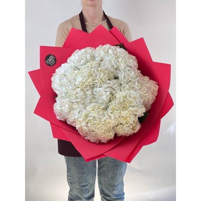 9 Белых гортензий