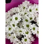 Букет-комплимент из хризантем