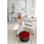 101 Красная роза в коробке
