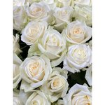 51 Белая роза в корзине