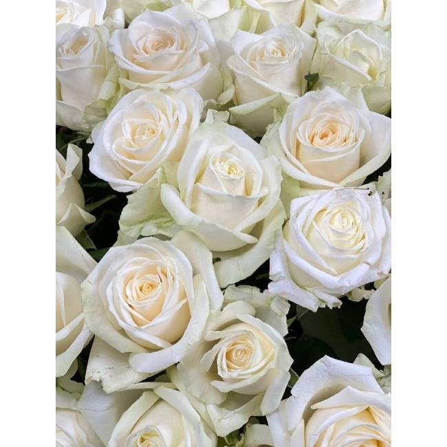 51 Белая роза в корзине