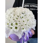 Цветочная коробка &laquo;Жемчужина&raquo;