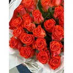 51 Коралловая роза в корзине