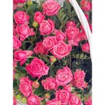 Корзина &laquo;Лиловый соблазн&raquo;