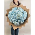 15 Голубых гортензий