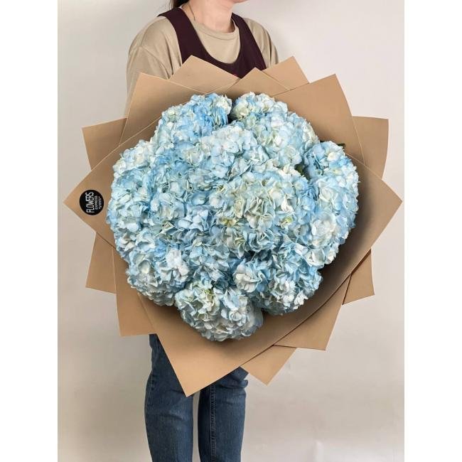 15 Голубых гортензий