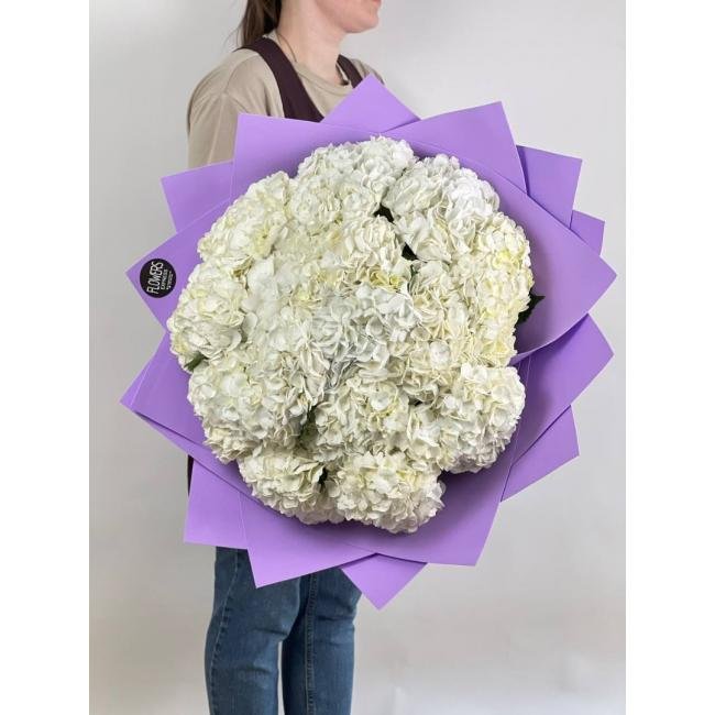 15 Белых гортензий