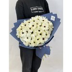 35 Белых гербер