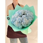 5 Голубых гортензий