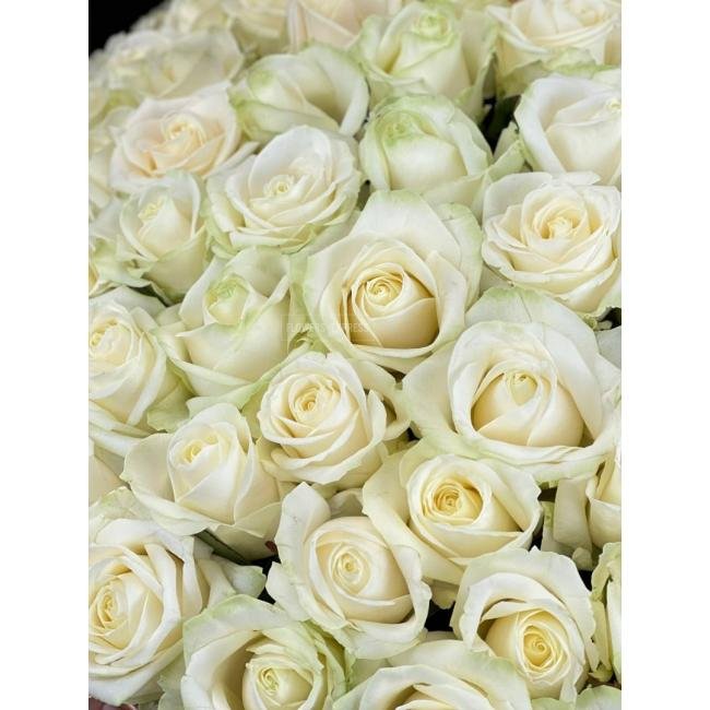 101 Белая роза в корзине