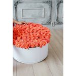 101 Розовая роза в коробке