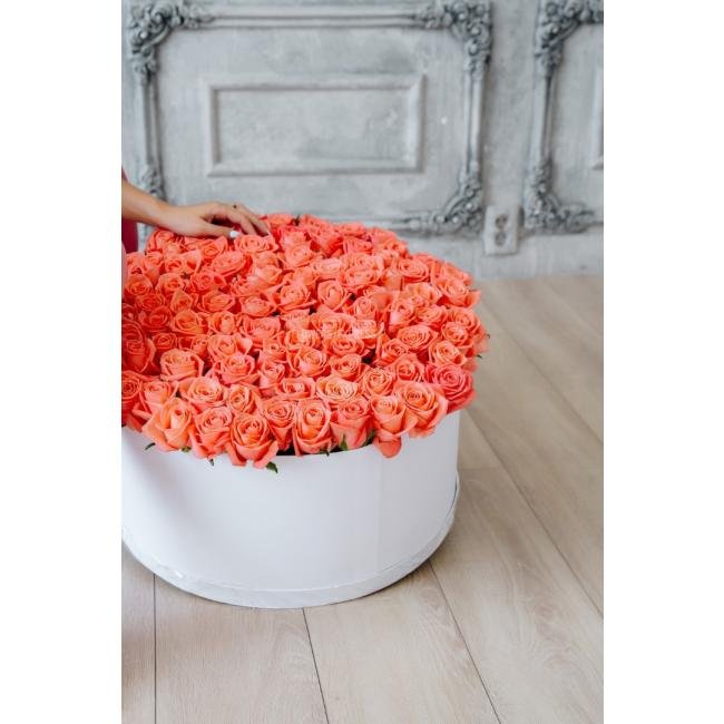 101 Розовая роза в коробке