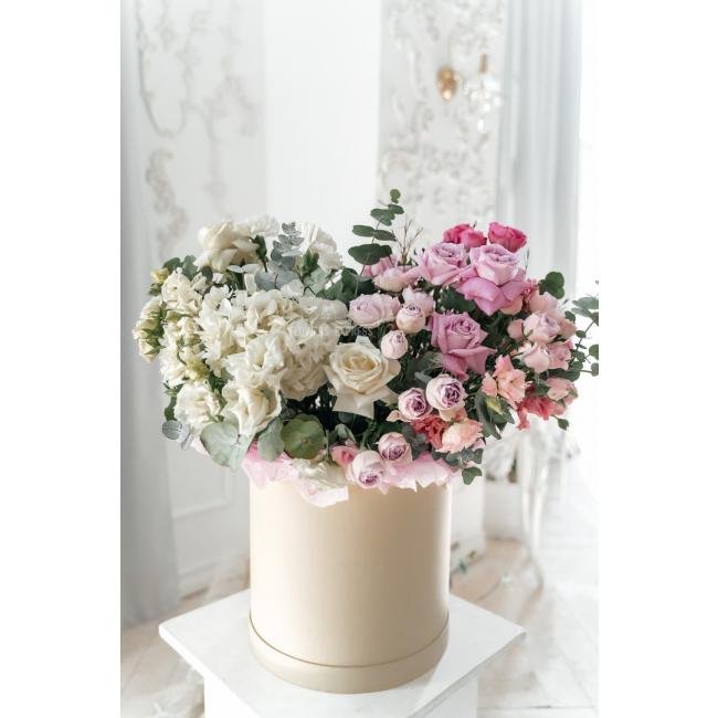 Созвездие любви