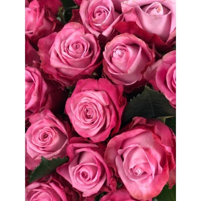 Роза сорта &laquo;Дип Вотер&raquo; (Deep Water)