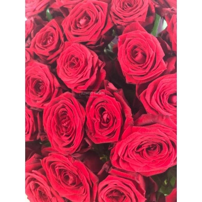 Роза сорта &laquo;Ред Наоми&raquo; (Red Naomi)