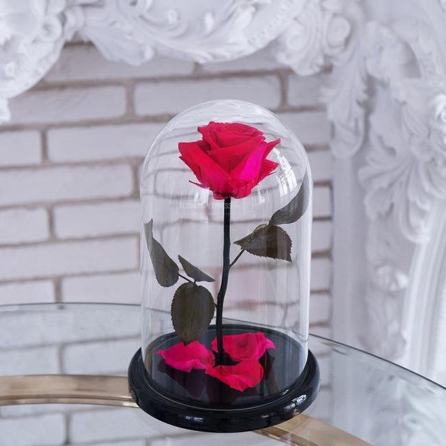 Роза в колбе &laquo;Фуксия&raquo;