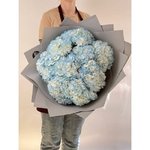 9 Голубых гортензий