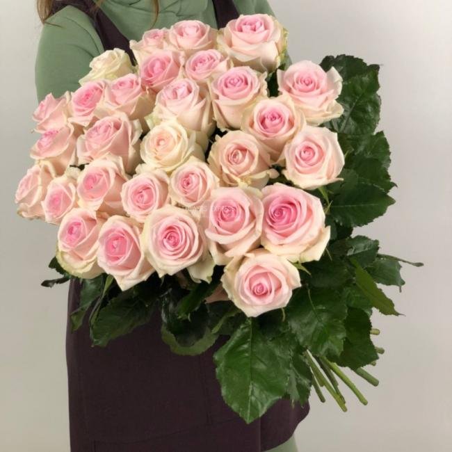 Роза сорта &laquo;Свит Ревиваль&raquo; (Sweet Revival)