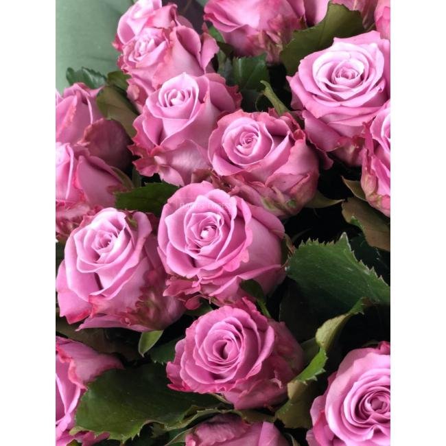 Роза сорта &laquo;Маритим&raquo; (Maritim)