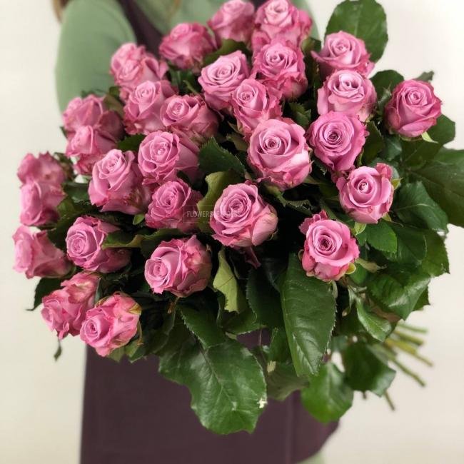 Роза сорта &laquo;Маритим&raquo; (Maritim)