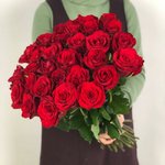 Роза сорта &laquo;Три Лав&raquo; (Three love)