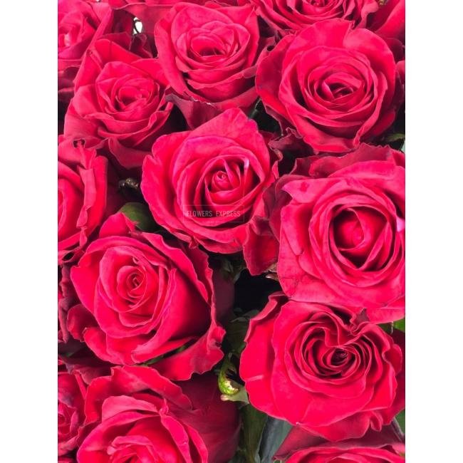 Роза сорта &laquo;Три Лав&raquo; (Three love)