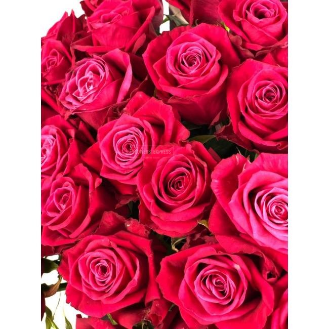 Роза сорта &laquo;Шангри-Ла&raquo; (Shangri La)