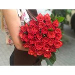 Роза сорта &laquo;Эплаус&raquo;