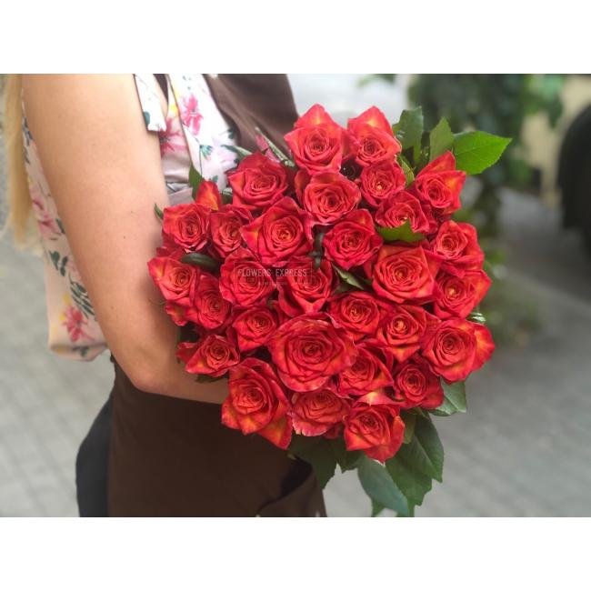 Роза сорта &laquo;Эплаус&raquo;