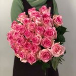 Роза сорта &laquo;Белиза&raquo; (Belize)