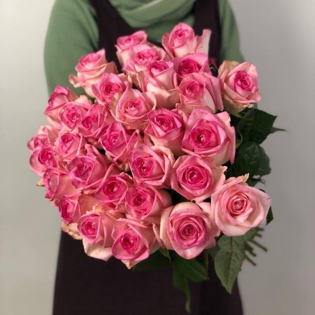 Роза сорта &laquo;Белиза&raquo; (Belize)