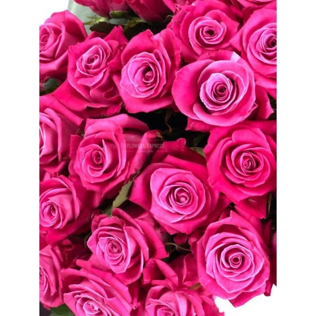 Роза сорта &laquo;Космик&raquo; (Kosmik)