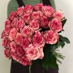 Роза сорта &laquo;Барракуда&raquo; (Barracuda)