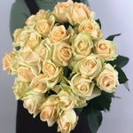 Роза сорта &laquo;Пич Аваланж&raquo; (Peach Avalanche)