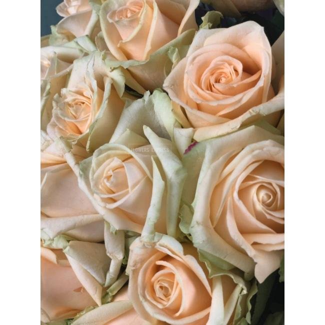 Роза сорта &laquo;Пич Аваланж&raquo; (Peach Avalanche)