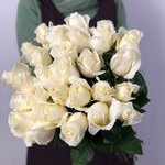 Роза сорта &laquo;Норма Джин&raquo; (Norma Jeane)