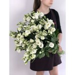 Эустома(Лизиантус) Белая