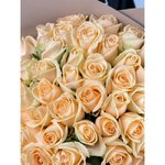 51 Кремовая роза