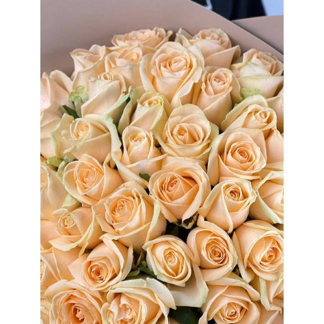 51 Кремовая роза