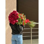 Розы Гиганты 80-100 см