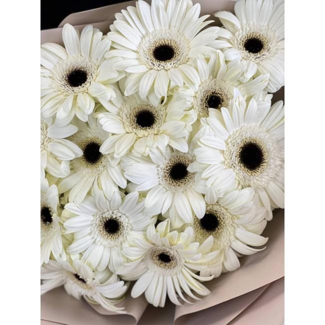 15 Белых гербер