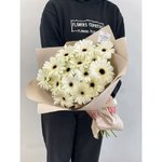 15 Белых гербер