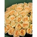 35 Кремовых роз