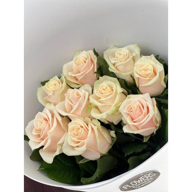 9 Кремовых роз